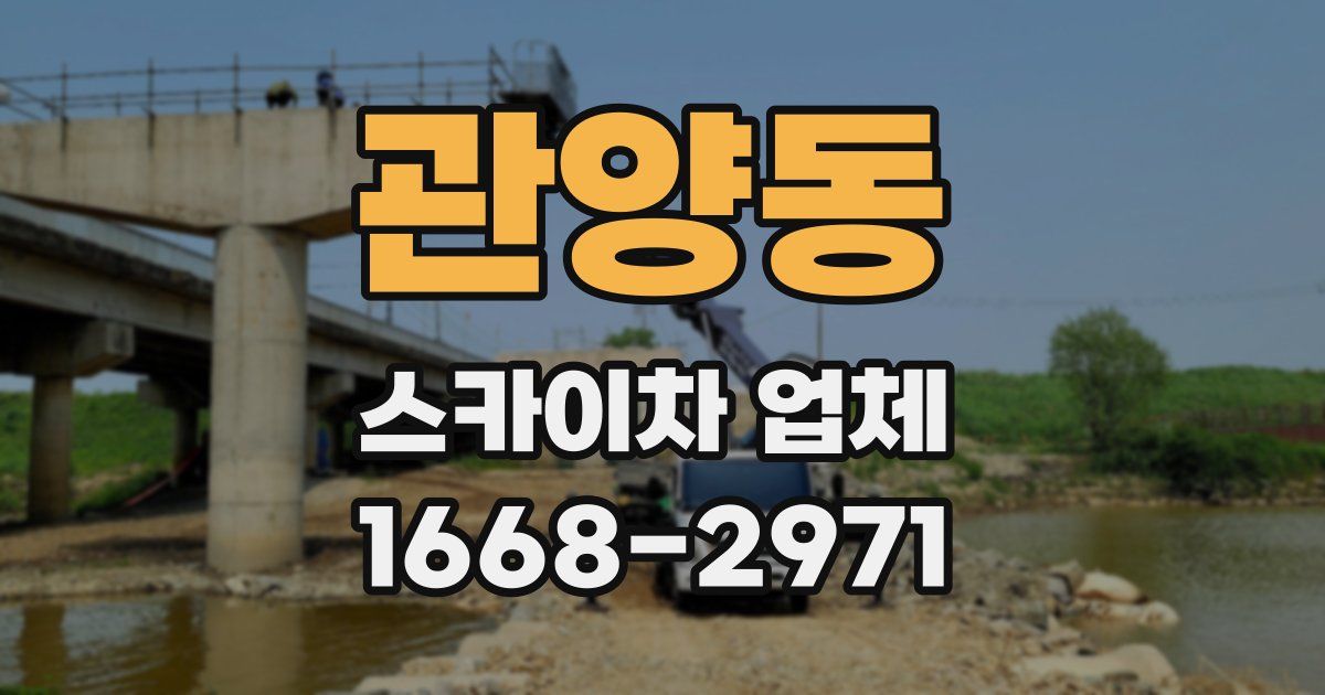 관양동 스카이차 업체