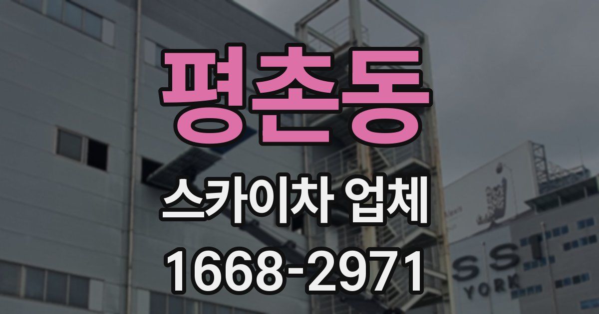 평촌동 스카이차 업체