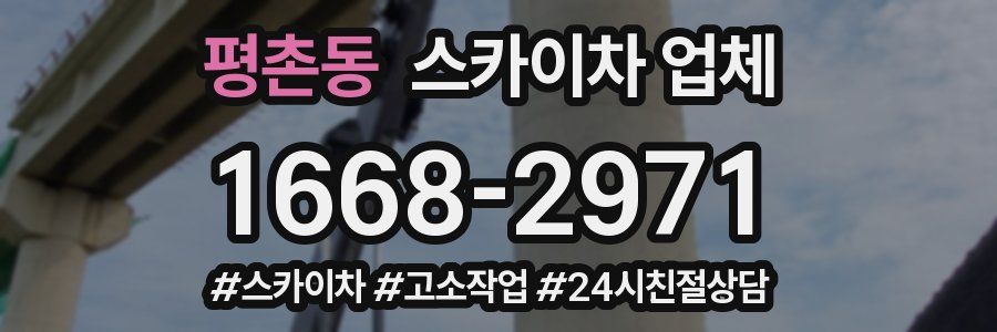 평촌동 스카이차 업체