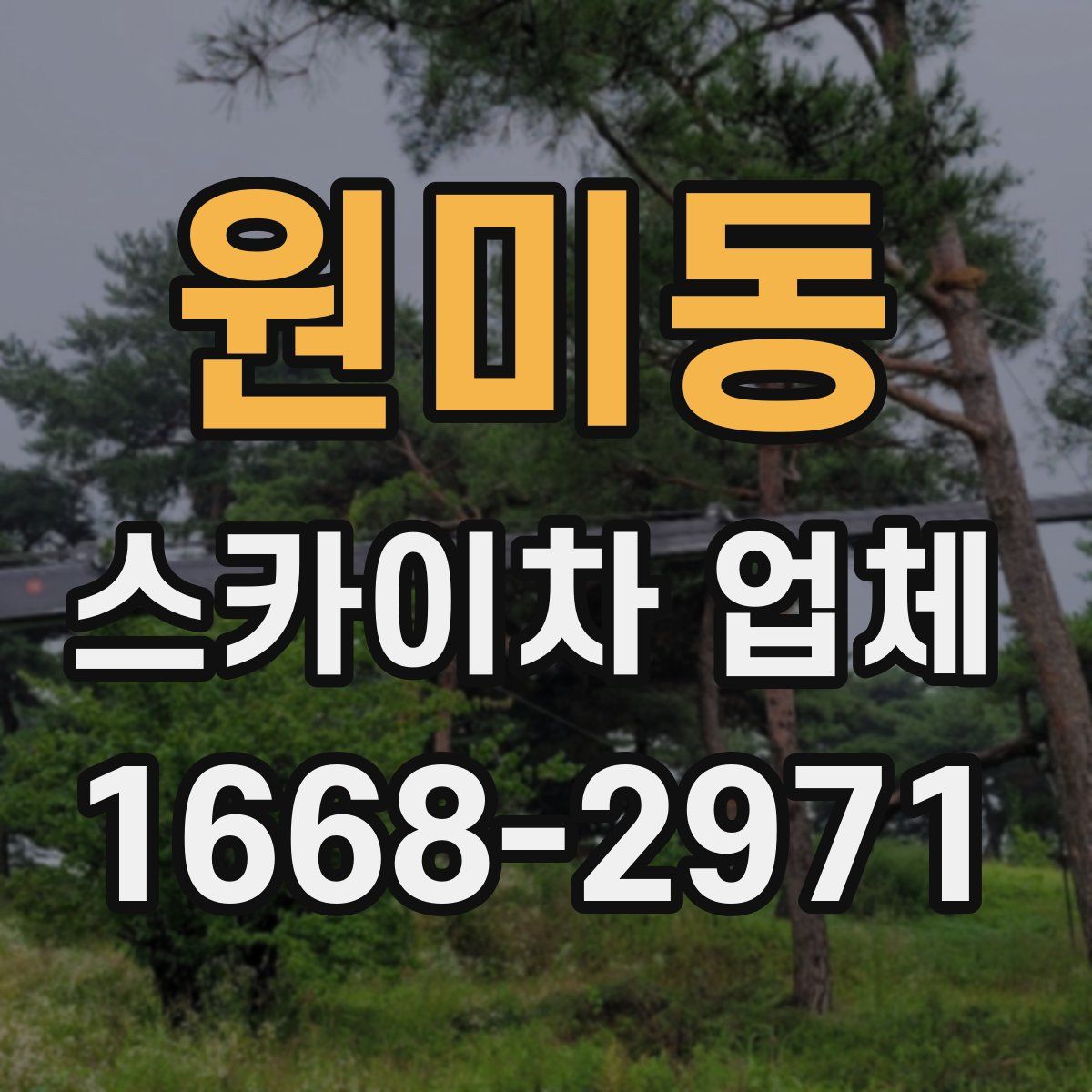 원미동 스카이차 업체