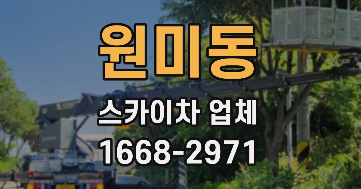 원미동 스카이차 업체