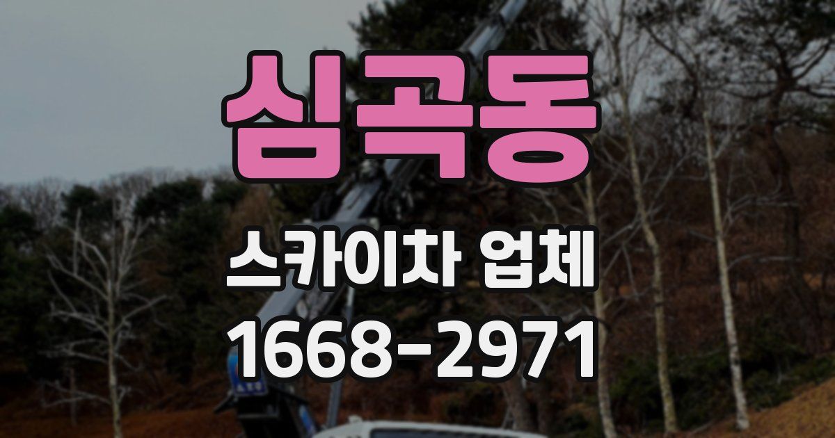 심곡동 스카이차 업체