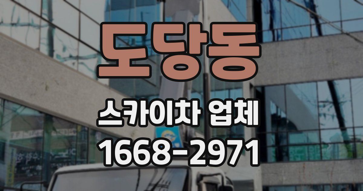 도당동 스카이차 업체