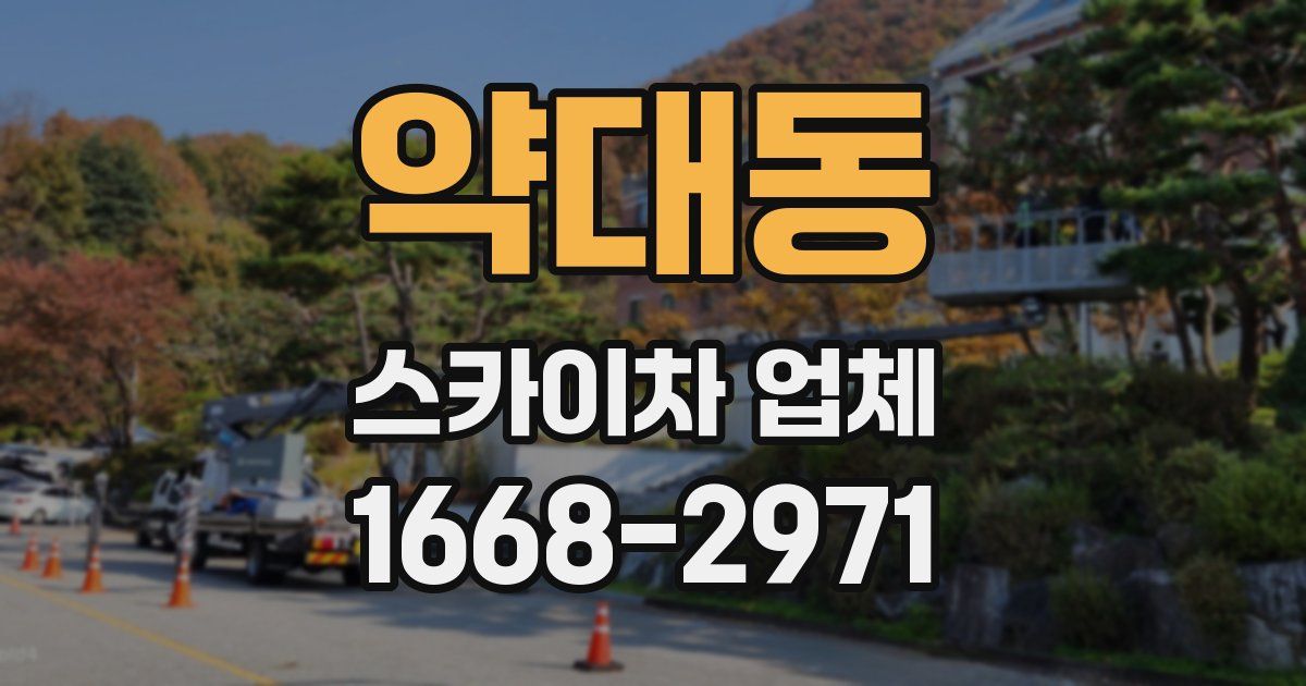 약대동 스카이차 업체