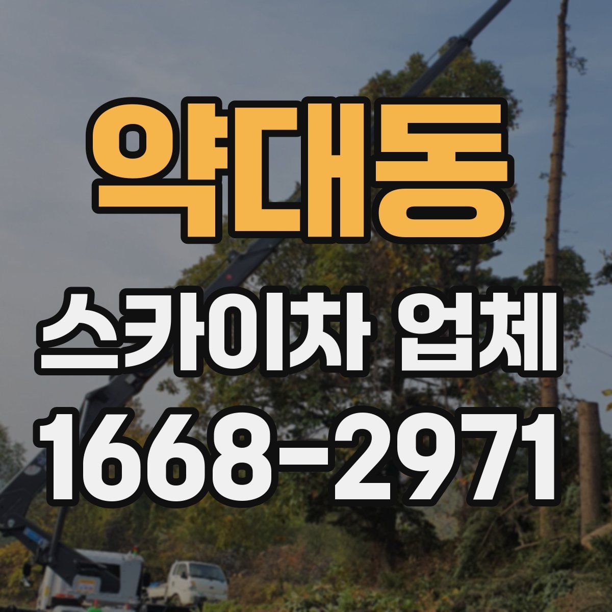 약대동 스카이차 업체