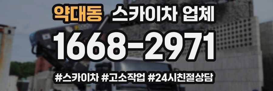 약대동 스카이차 업체