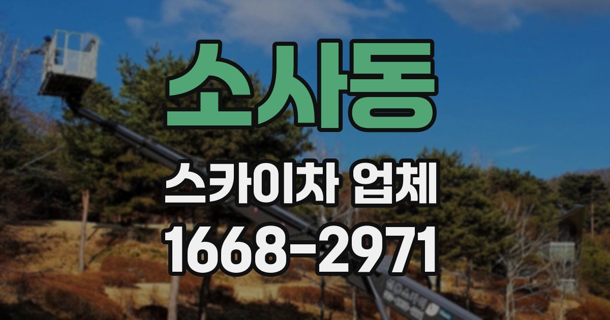 소사동 스카이차 업체
