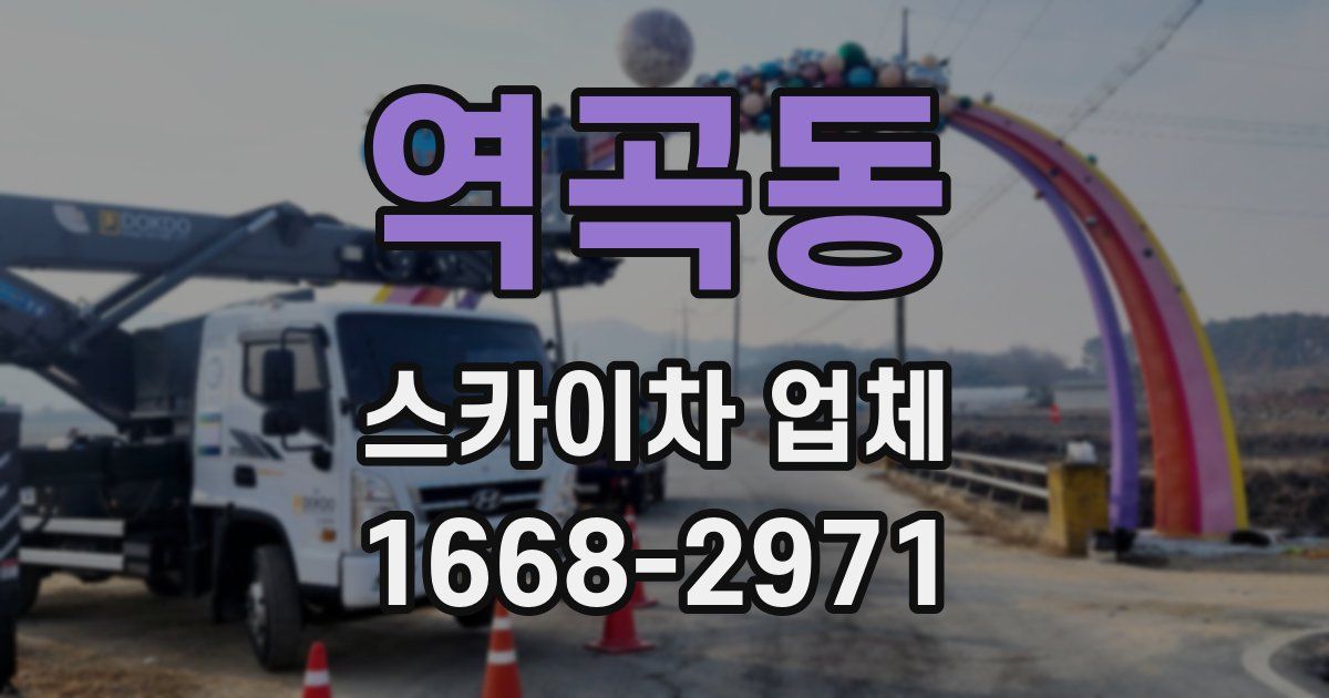 역곡동 스카이차 업체