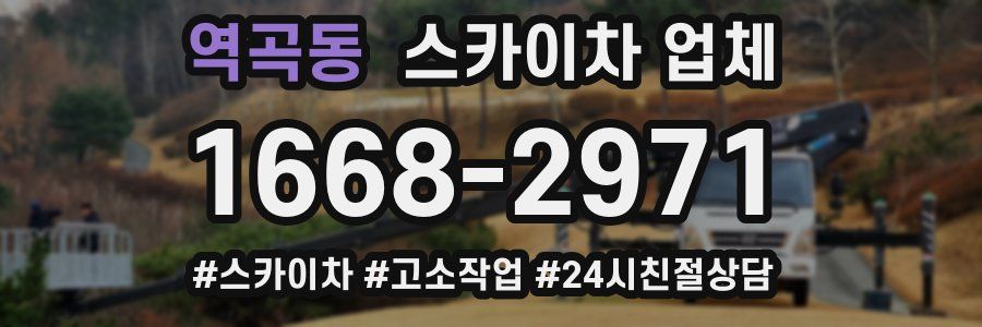 역곡동 스카이차 업체