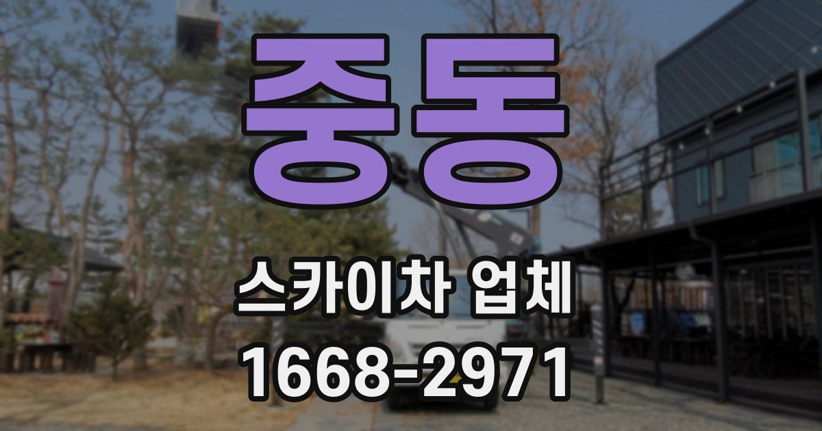 중동 스카이차 업체
