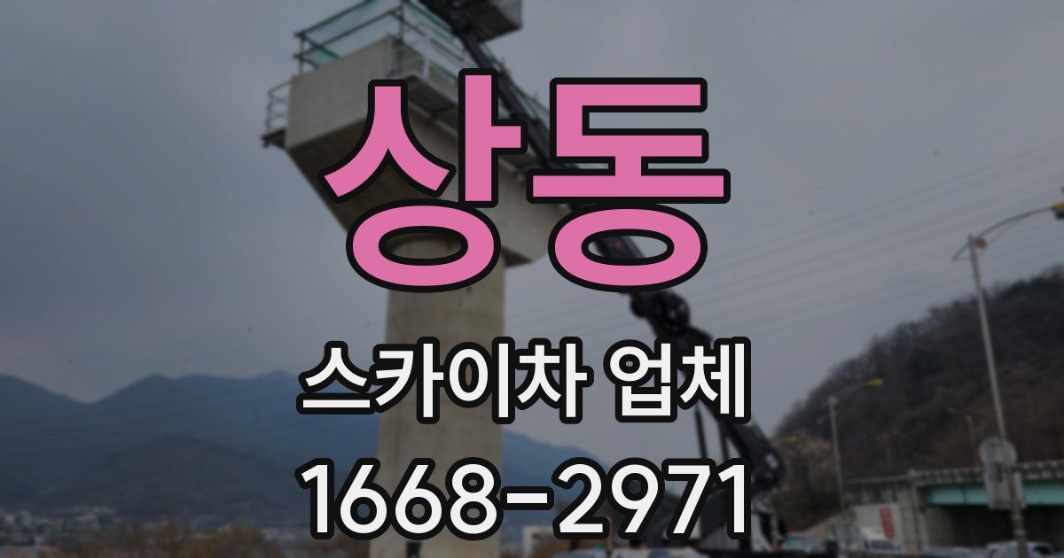 상동 스카이차 업체