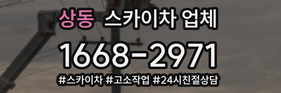 상동 스카이차 업체