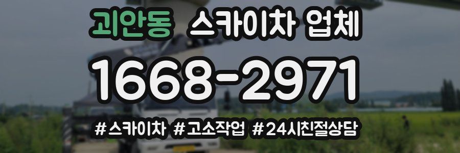 괴안동 스카이차 업체