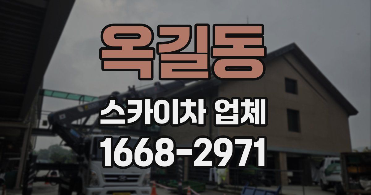 옥길동 스카이차 업체