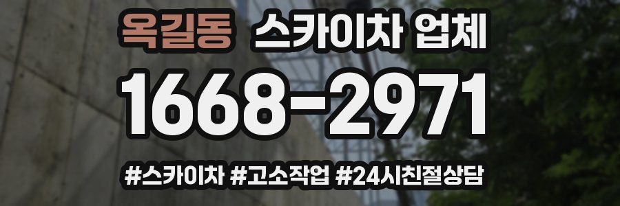 옥길동 스카이차 업체