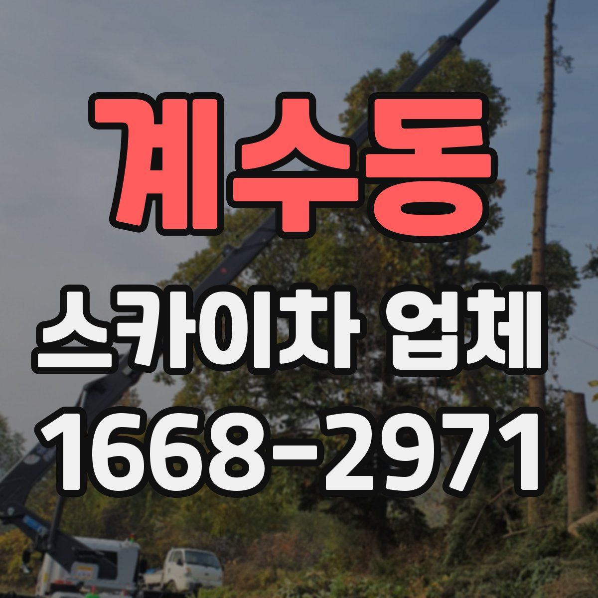 계수동 스카이차 업체