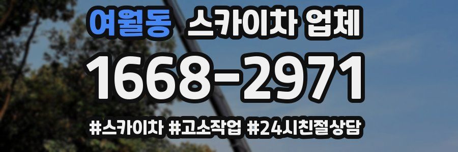 여월동 스카이차 업체