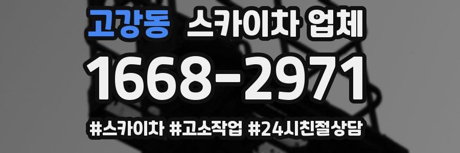 고강동 스카이차 업체