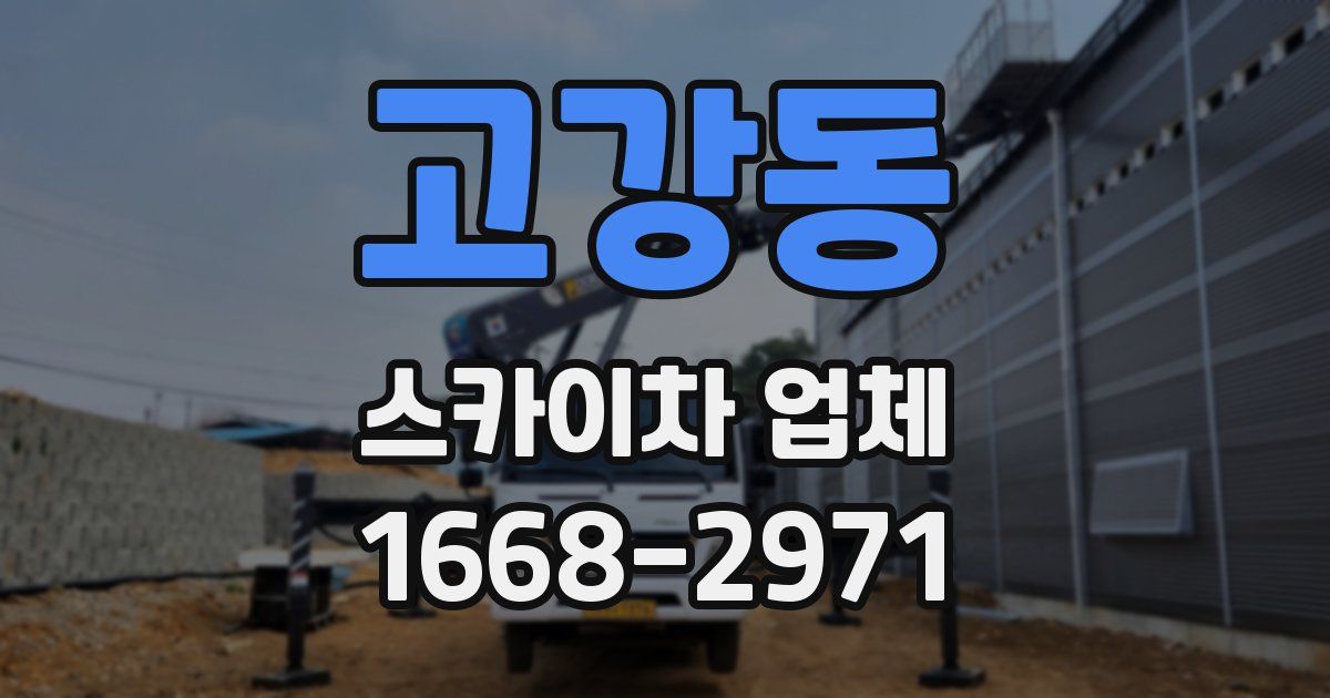 고강동 스카이차 업체
