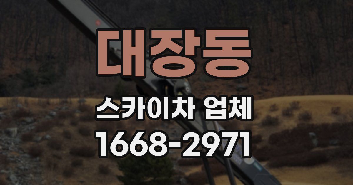 대장동 스카이차 업체