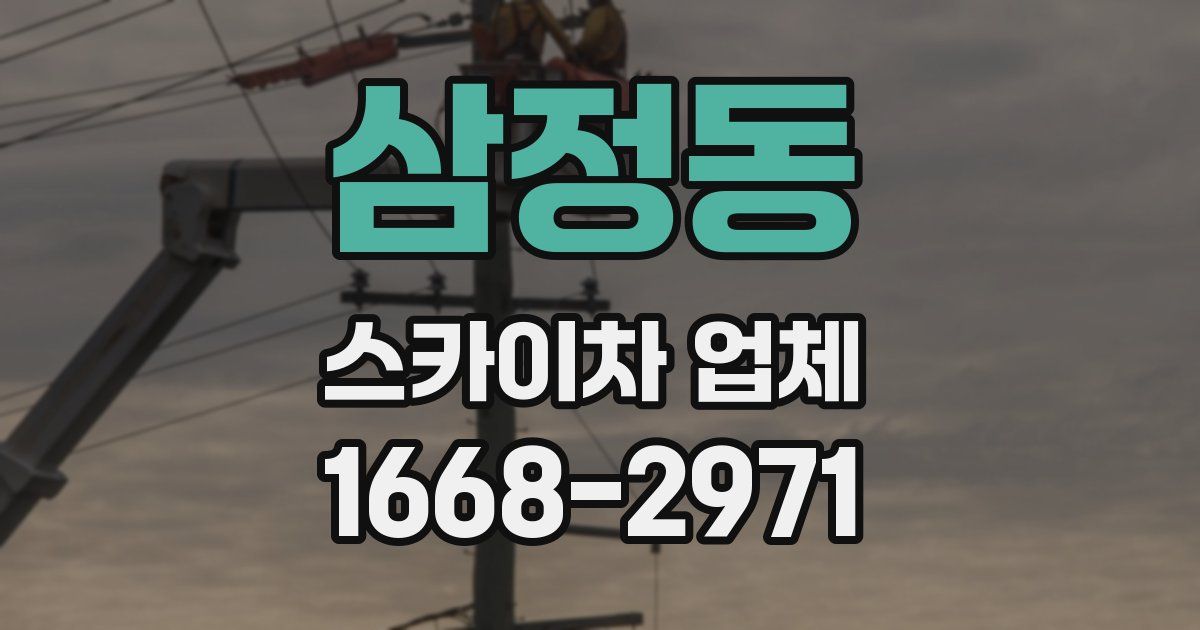 삼정동 스카이차 업체