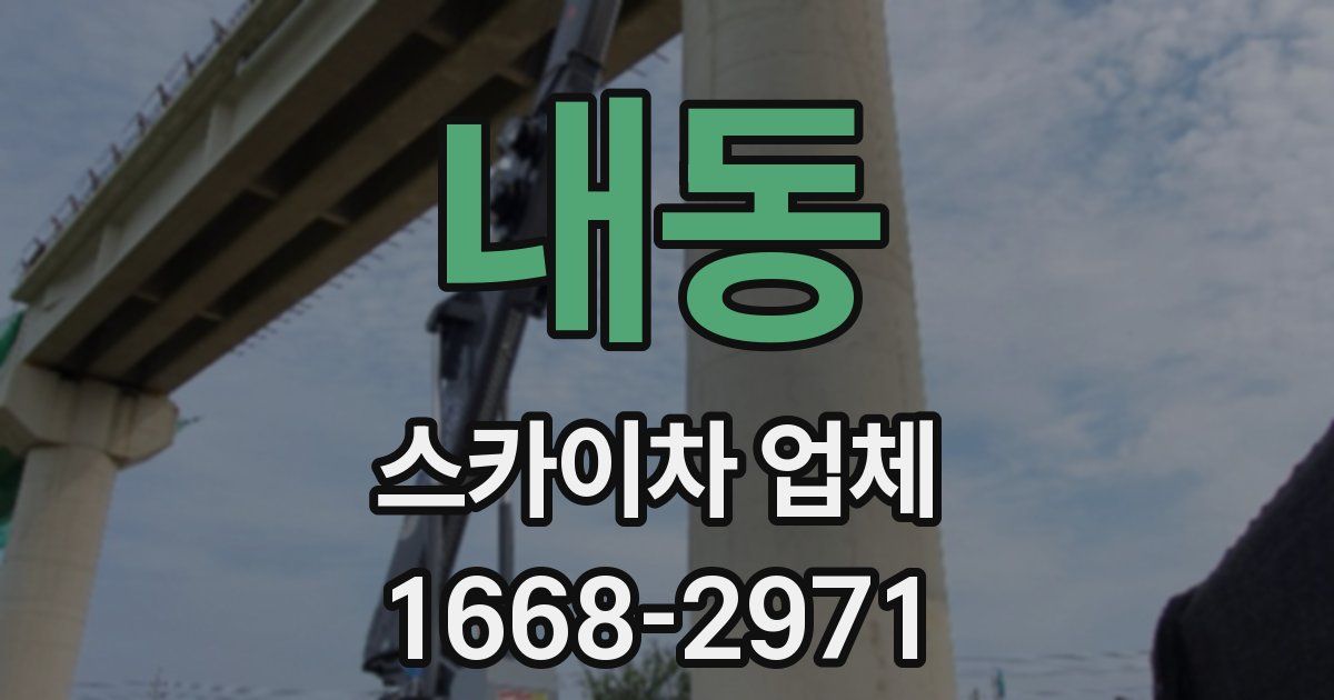 내동 스카이차 업체