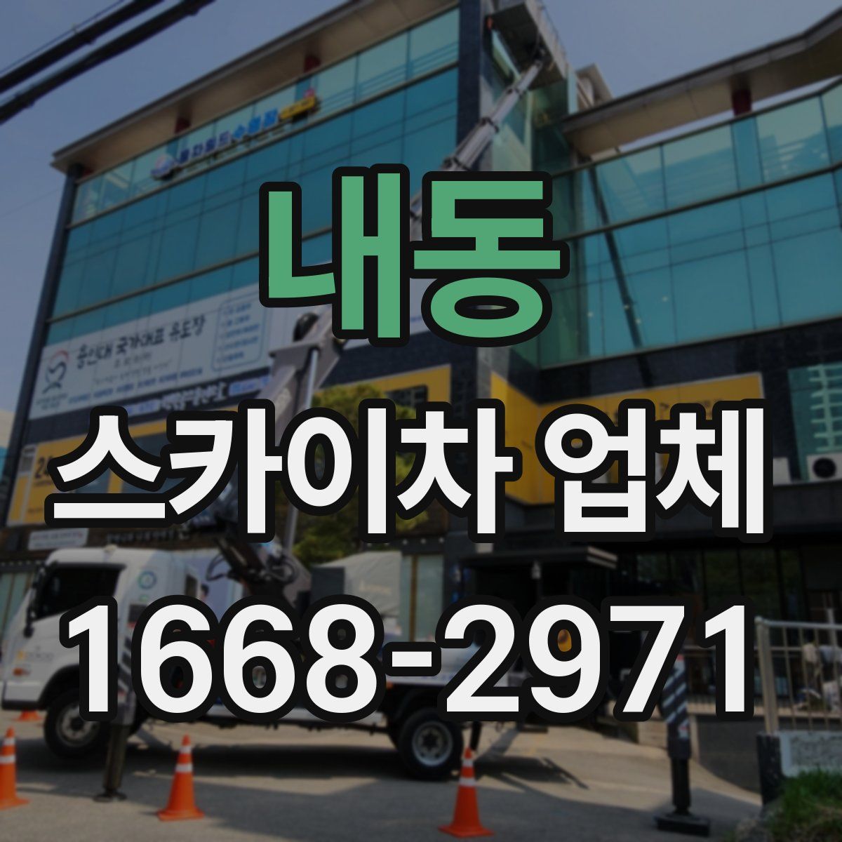 내동 스카이차 업체