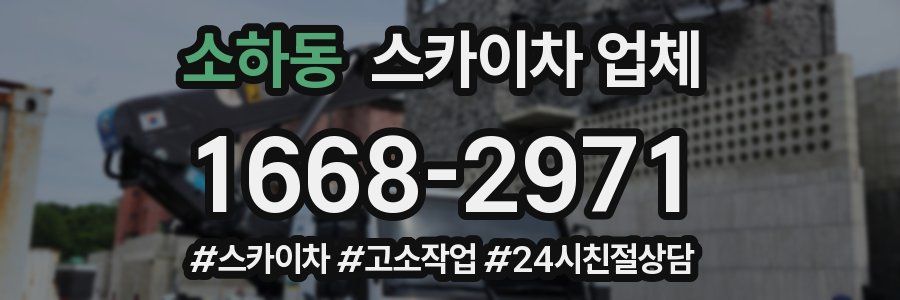 소하동 스카이차 업체
