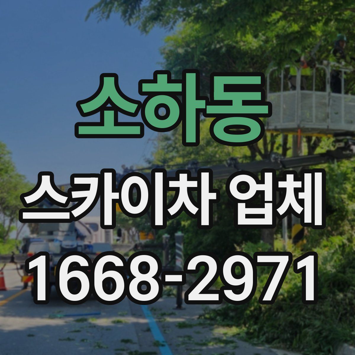 소하동 스카이차 업체
