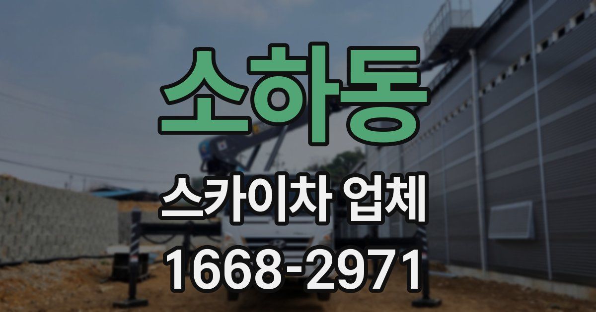 소하동 스카이차 업체