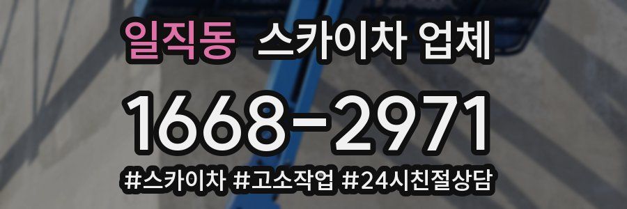 일직동 스카이차 업체