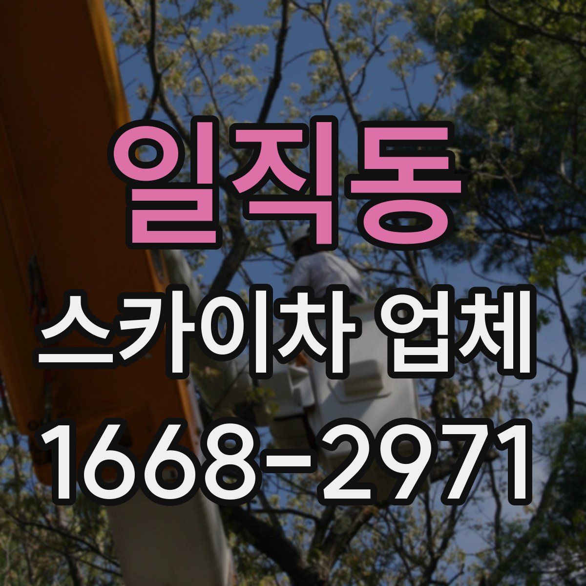 일직동 스카이차 업체