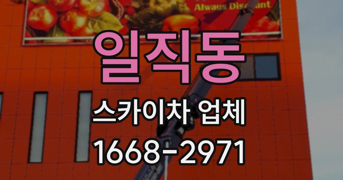 일직동 스카이차 업체