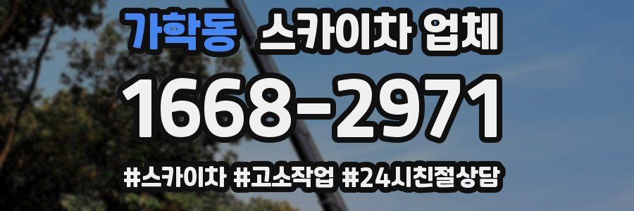 가학동 스카이차 업체