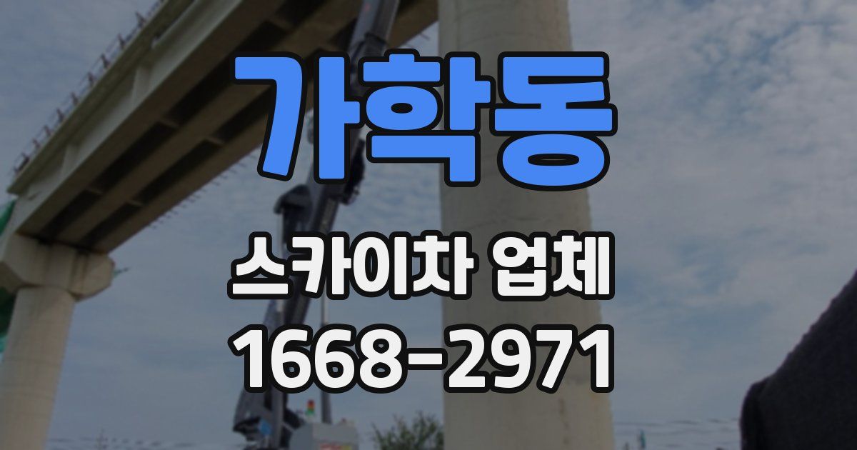 가학동 스카이차 업체