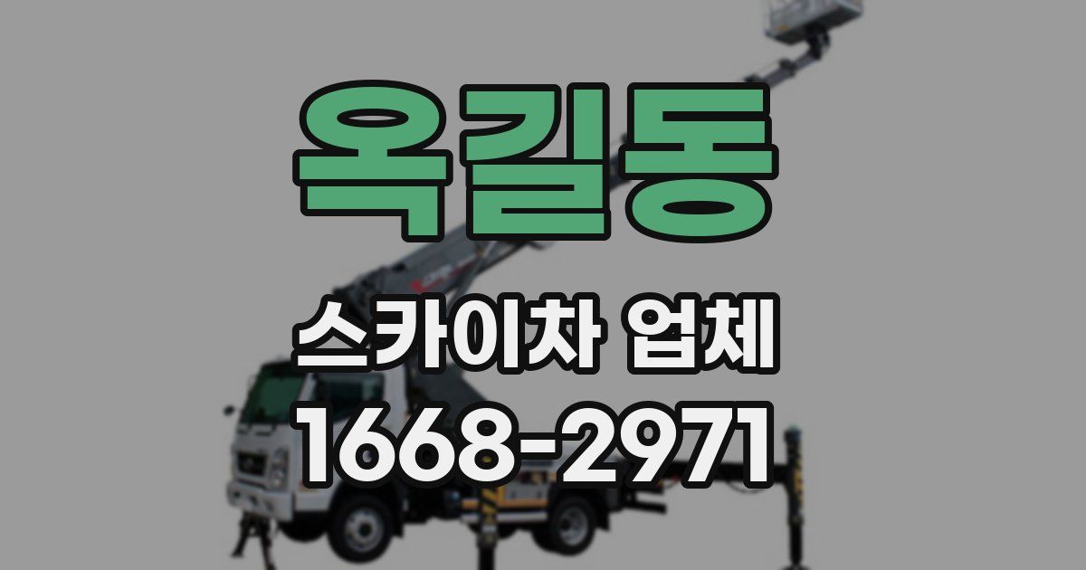 옥길동 스카이차 업체