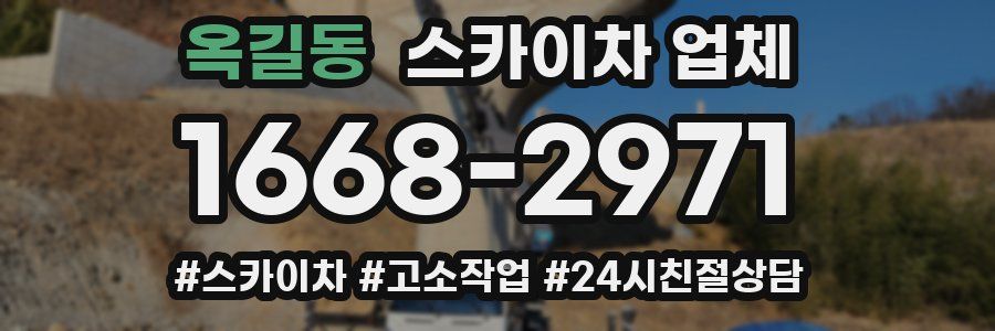 옥길동 스카이차 업체