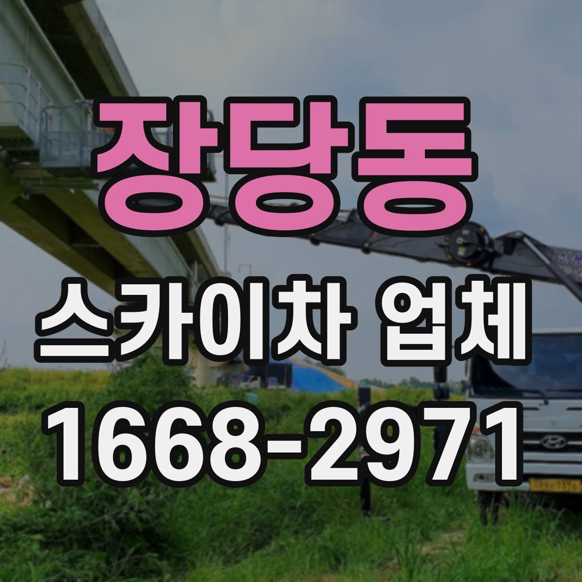 장당동 스카이차 업체