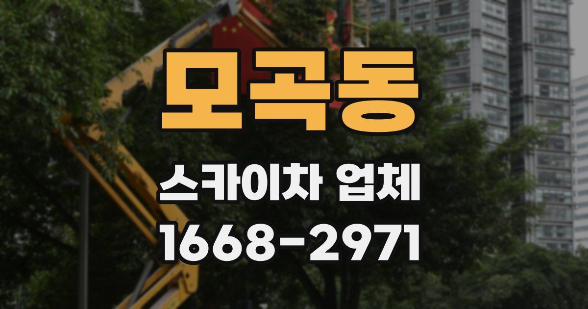 모곡동 스카이차 업체