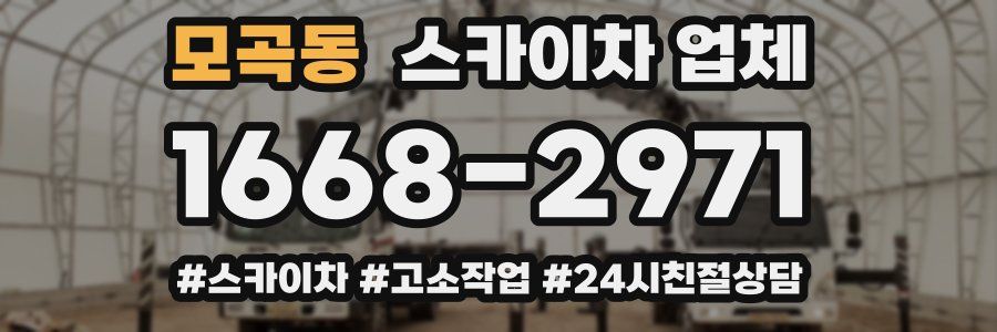모곡동 스카이차 업체