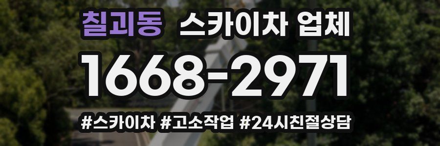 칠괴동 스카이차 업체