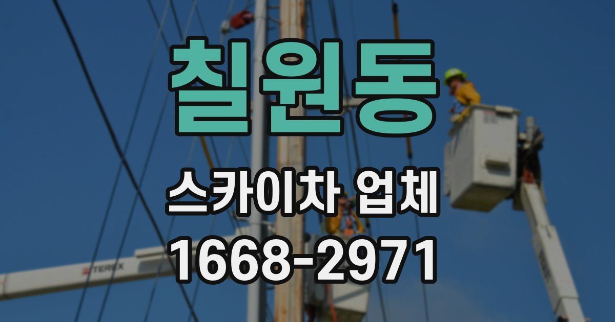 칠원동 스카이차 업체