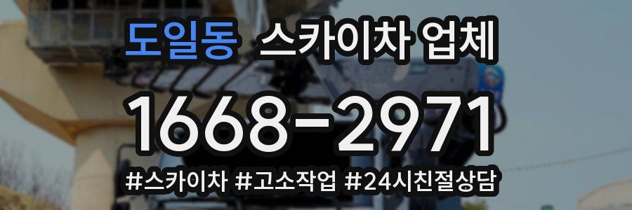 도일동 스카이차 업체