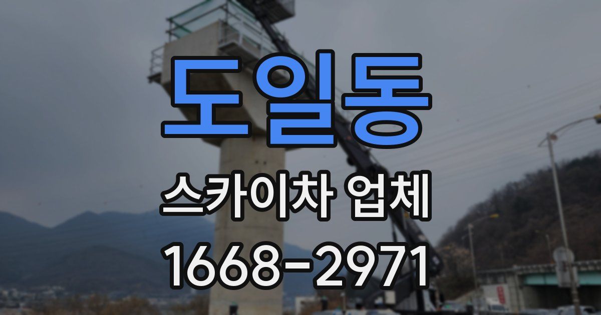 도일동 스카이차 업체