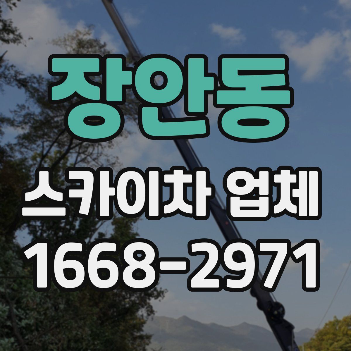 장안동 스카이차 업체