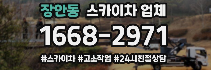 장안동 스카이차 업체