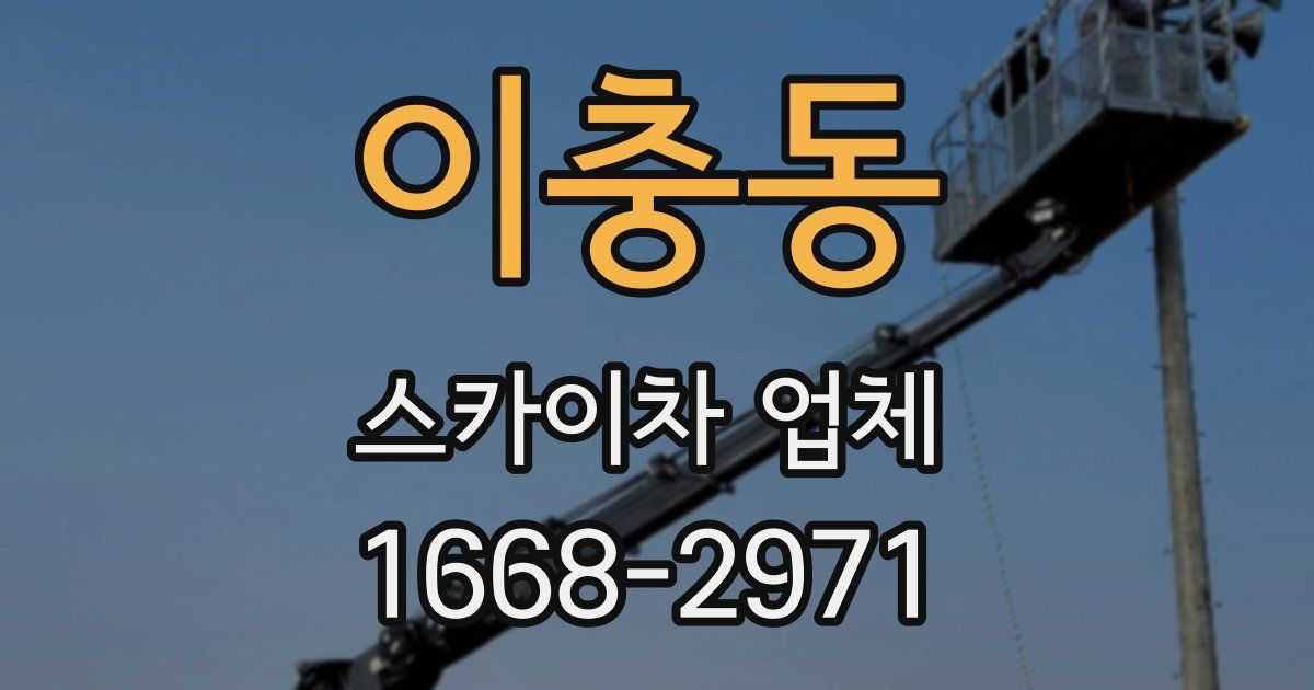 이충동 스카이차 업체