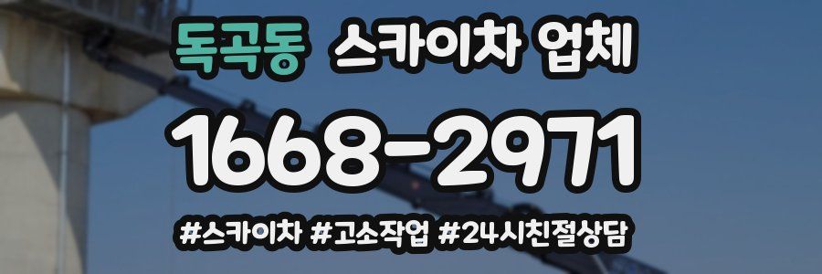 독곡동 스카이차 업체