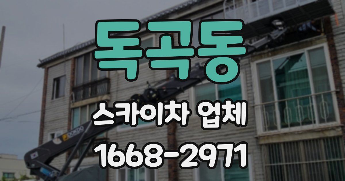 독곡동 스카이차 업체