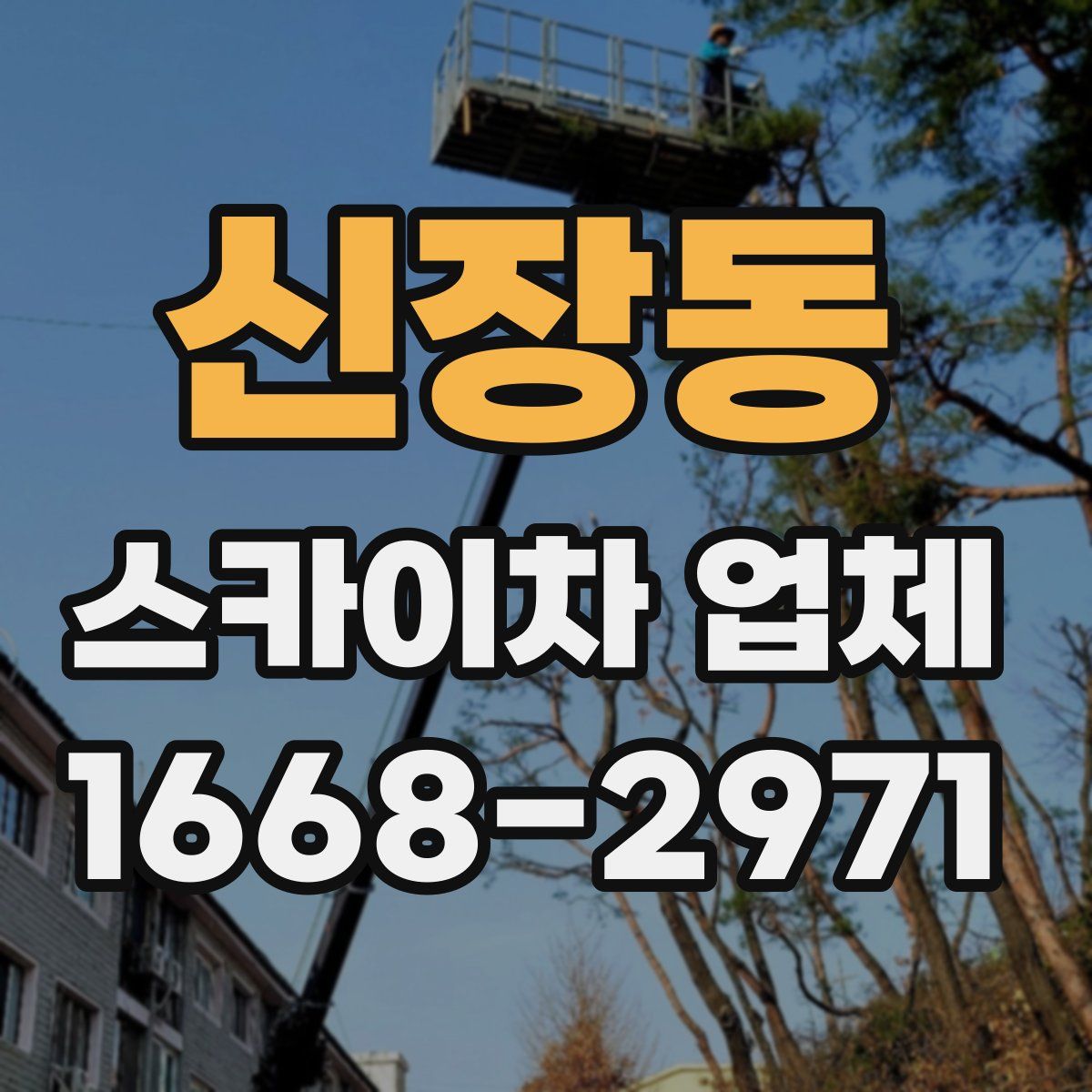 신장동 스카이차 업체